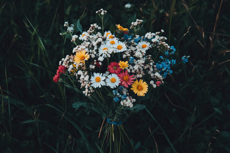 A vibrant bouquet of wildflowers bursts with color against a dark, grassy backdrop, showcasing natures beauty in a captivating display.の写真素材