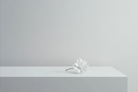 A minimal composition featuring a delicate white flower on a clean, light-colored surface. The image evokes a sense of simplicity and tranquility.の写真素材