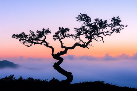 A solitary, twisted tree silhouetted against a vibrant sunrise over a misty mountain landscape. The colors of the sky transition from purple to pink and orange, creating a serene and peaceful atmosphere.の写真素材