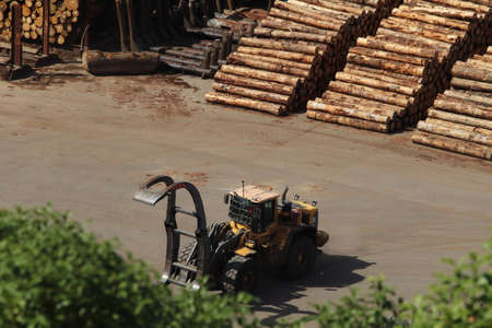 Forklift loading timber in the sawmill. Logging industry.の写真素材