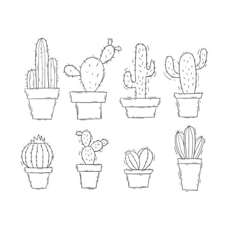 Cactus doodle set collectionのイラスト素材