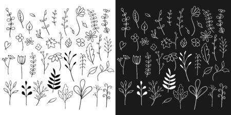 Doodle flowers set collection vectorのイラスト素材