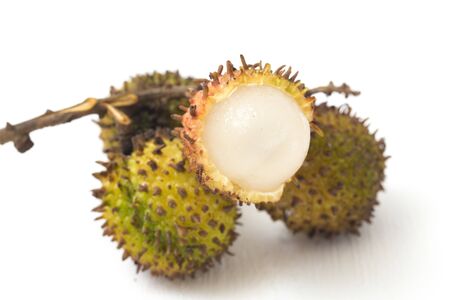 Rambutan Fruit ( Nephelium lappaceum ) - Rambutan fruit is a fruit similar to lychee. Rambutan fruit isolated on white backgroundの写真素材