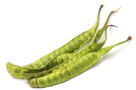 Parkia speciosa ( petai, bitter bean, twisted cluster bean, stinker or stink bean) on white background.の写真素材