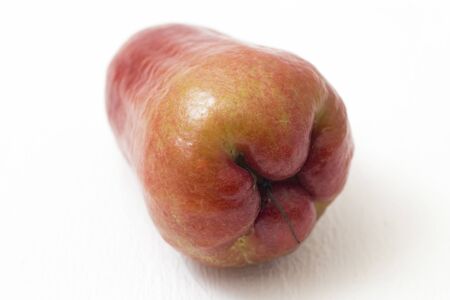 Rose apples or chomphu or Java apple or Syzygium seed isolated on white background