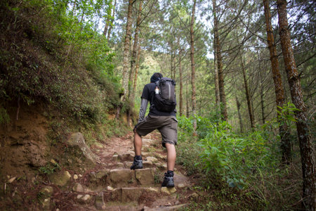 One backpacker man travel alone, with backpack in the mountains