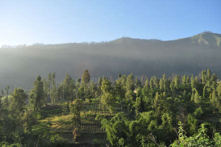 A morning serenity in village around Bromo Mountain, Indonesia  Bromo is one of active volcano in this country that always crowded by tourist の写真素材