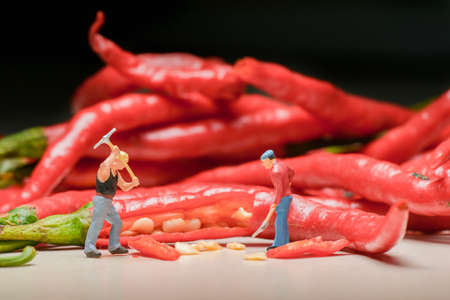 a miniature figure of a worker cutting chilliesの写真素材