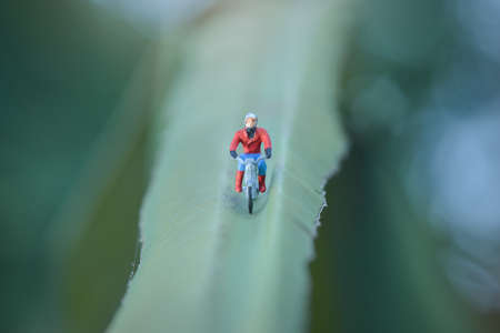Miniature people figure motorcyclists are touring in the forest
