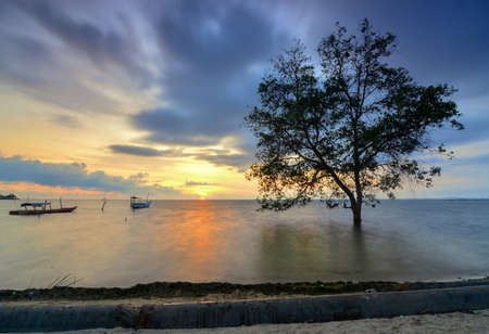 Beautiful sunrise on the beach of Tanjung Pinggir, with mangrove plants as POIの写真素材