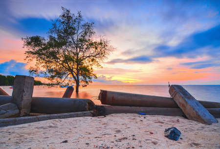 Beautiful sunrise on the beach of Tanjung Pinggir, with mangrove plants as POI