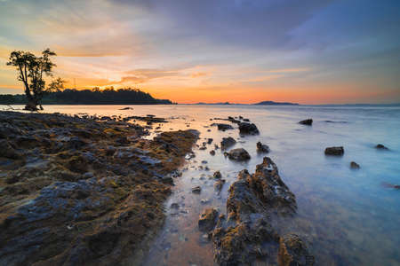 Beautiful sunrise on the beach of Tanjung Pinggir, with mangrove plants as POIの写真素材