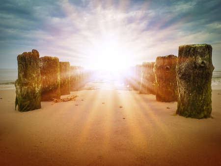 Old wooden polesの写真素材