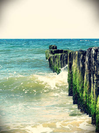 Old wooden polesの写真素材