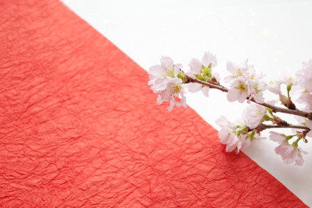 cherry tree and Japanese paperの写真素材
