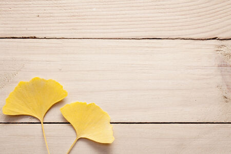 Ginkgo leaves and board