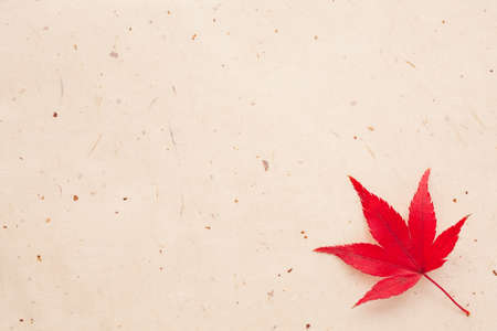 Maple and Japanese paperの写真素材