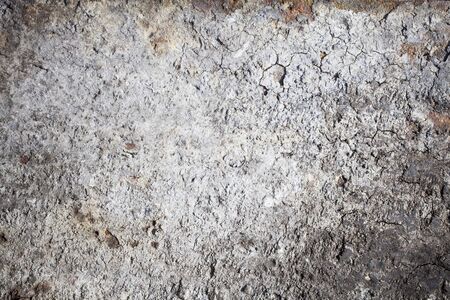 Grunge wall texture backgroundの写真素材