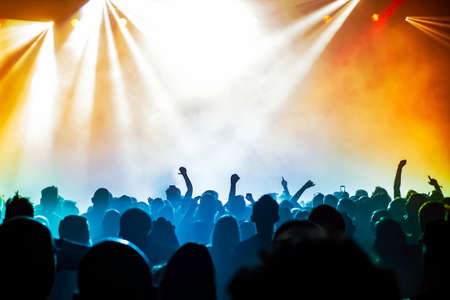 Concert crowd at rock concert