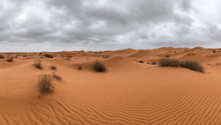 Panoramic photo of the desert landscape in southern Arizona: a grey sky, small rolling hills, and sand dunes with some vegetation. --ar 53:30 --v 6.1 Job ID: 004a8ceb-5af7-470f-be66-1bdc60e455eeの素材