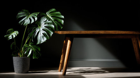 Potted Monstera deliciosa plant sits beside a simple wooden bench in a dark room.  Natural light casts dramatic shadows on the floor and bench.  The image showcases a minimalist, contemporary design aesthetic, focusing on the interplay of light and shadow.の素材