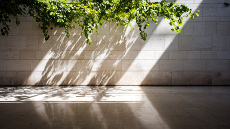 Sunlight filtering through greenery casts distinct shadows on a light beige stone wall and floor. The interplay of light and shadow creates an architectural scene.の素材