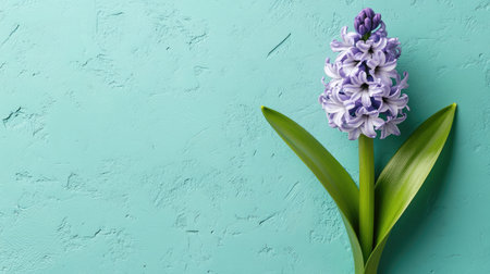 Create a striking botanical drawing highlighting the elegant, upward spiral of a single, pale lavender hyacinth bloom, showcasing its subtle variations in texture --chaos 30 --ar 16:9 --v 6.1 Job ID: 38a42743-a1a9-45fe-af33-c37cef3b26f0の素材