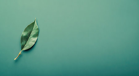 Minimalist background with one plant leaf on the left side, on a solid teal-colored, flat lay. --ar 78:43 --v 6.1 Job ID: 0d175ae9-4c9c-4d15-b869-36f8e867c89aの素材