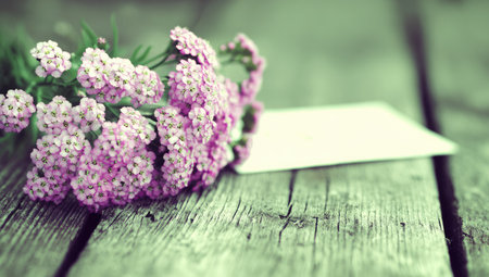 Delicate pink yarrow blossoms rest on aged wooden planks beside a blank card.の素材