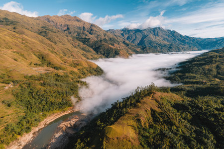 High-altitude aerial view of a valley surrounded by rugged mountains, with a river flowing through it and a thick layer of mist or fog. Lush vegetation covers the slopes of the mountains.の素材