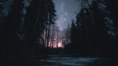 A forest path is visible under a dark starry sky.の素材