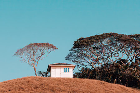A lone house sits atop a dry, golden hill with trees and a vast, clear sky.の素材
