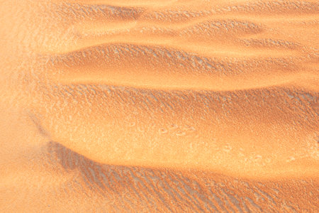 Seamlessly integrate your custom text, titles, headings, or graphic elements with this desert sand texture backgroundの写真素材