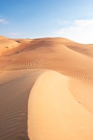 A focused shot capturing an untouched expanse of golden sand dune beneath a brilliant azure sky, creating a tranquil desert vistaの写真素材