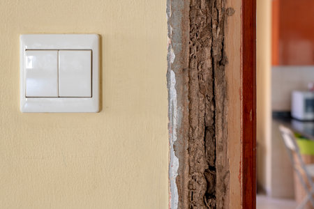 Termite-infested plinth block near the light switch, showing casing pest control success after...
