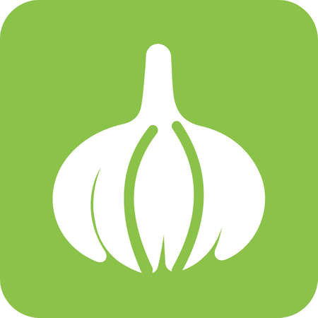 Onion, vegetable, food icon vector image.のイラスト素材