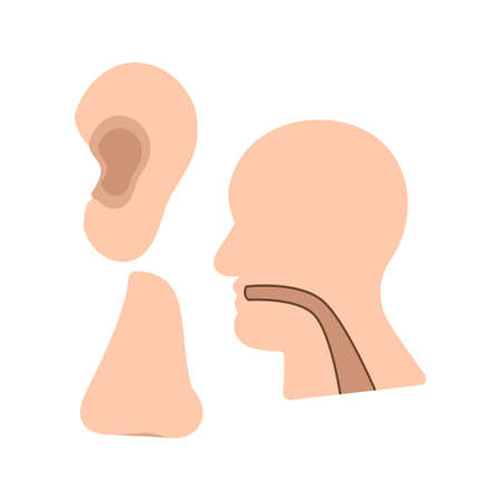 Ear, nose, throat, ent, icon vector image. Can also be used for healthcare and medical. Suitable for web apps, mobile apps and print media.のイラスト素材