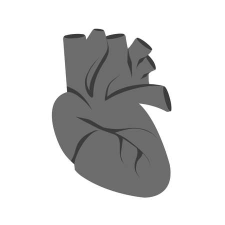 Heart, human organ, organ, medical icon vector image. Can also be used for healthcare and medical. Suitable for mobile apps, web apps and print media.のイラスト素材