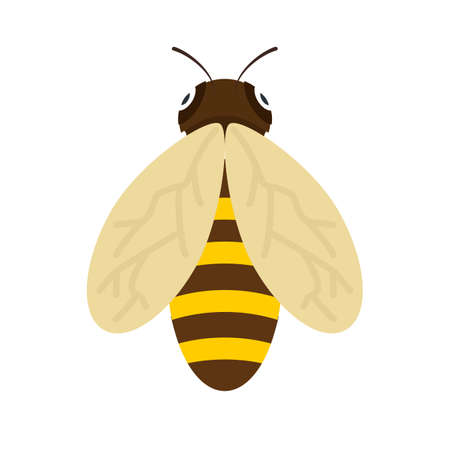 Honeybee, bee, honey icon vector image. Can also be used for Animals and Insects. Suitable for mobile apps, web apps and print media.のイラスト素材