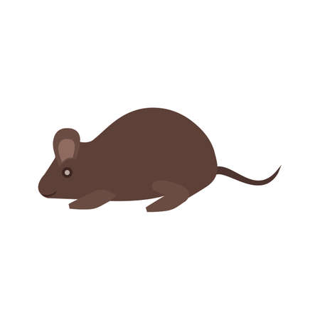 Mouse, animal, rat icon vector image. Can also be used for Animals and Insects. Suitable for mobile apps, web apps and print media.のイラスト素材