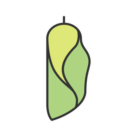 Cocoon, metamorphosis, insect icon vector image. Can also be used for Animals and Insects. Suitable for mobile apps, web apps and print media.のイラスト素材