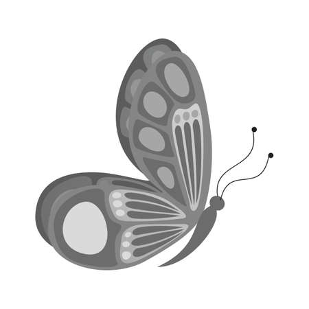 Butterfly II Iconのイラスト素材