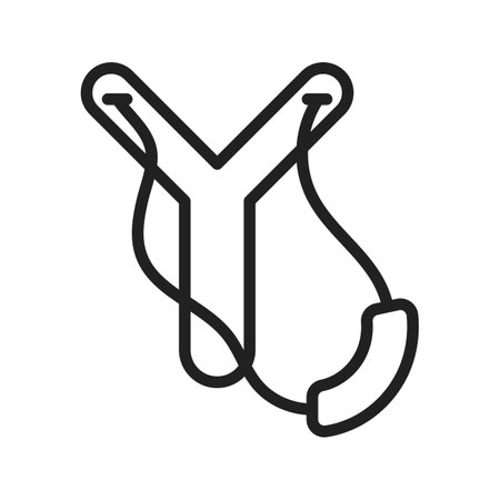 Slingshot icon vector image.のイラスト素材