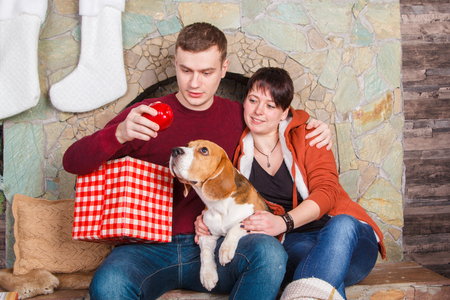 Young family playing with pretty beagle dog near fireplaceの写真素材