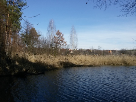 lake in the autumn forest pond cold on the streetの写真素材