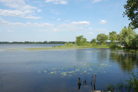 a large lake with a shore and trees on it the sunの写真素材