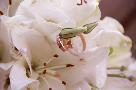 wedding rings hanging on a flower bouquet of a bride goldの写真素材