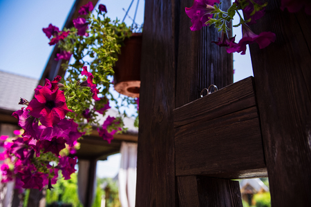 wooden shelf with flowers and wedding rings on the streetの写真素材