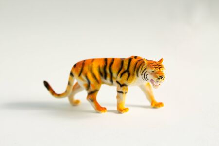 little toy tiger on a white backgroundの写真素材