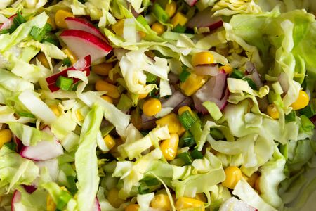 vegetable salad corn cabbage radish greens Veganの写真素材